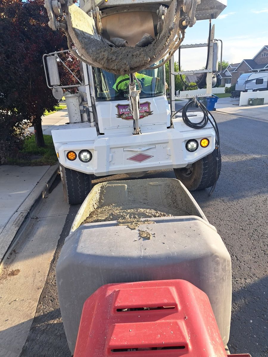Mud buggy&dingo rental