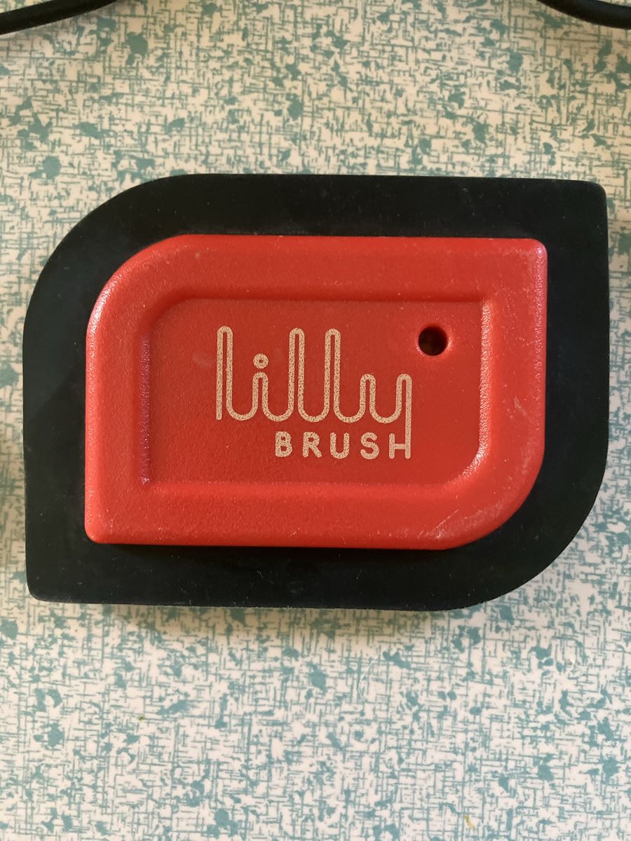 Lilly Brush Red/Black Pet Hair Remover, Lint Cleaner Tool