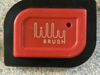 Lilly Brush Red/Black Pet Hair Remover, Lint Cleaner Tool