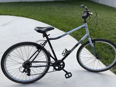 Guardian Bike - Adult Large