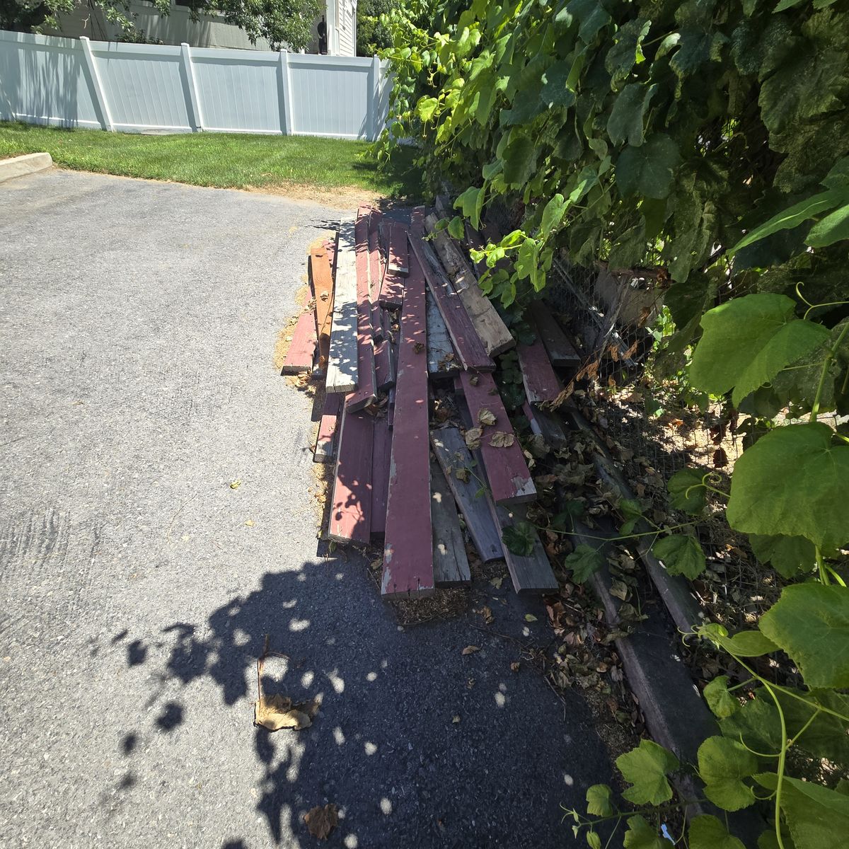 Main image 3