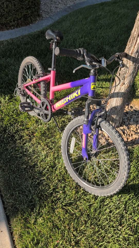 Nishiki Mountain Bike