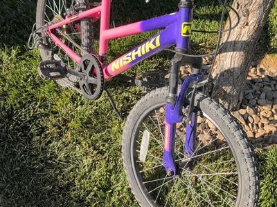Nishiki Mountain Bike