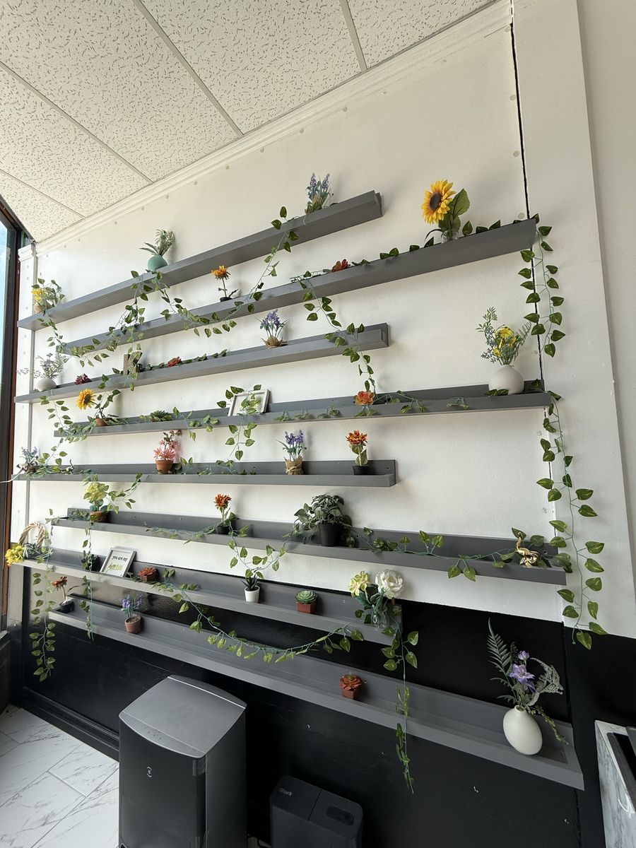 Flowers succulents for sale