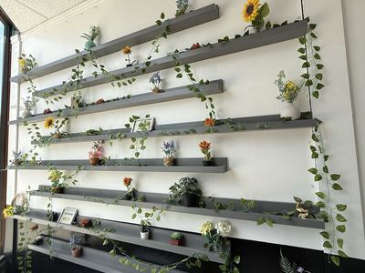 Flowers succulents for sale