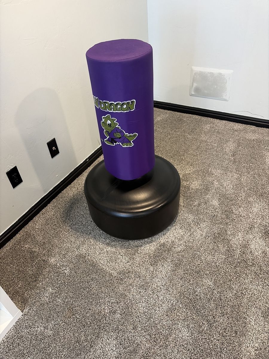 Punching bag for sale