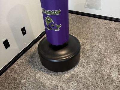 Punching bag for sale