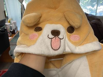 Corgi onesie