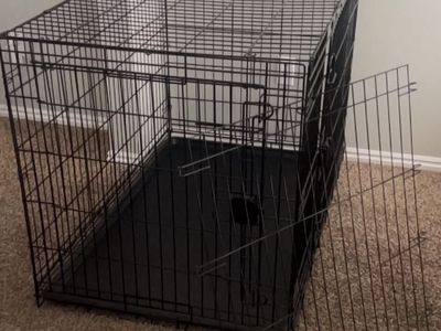 XXL Folding Metal Wire Dog Crate with Removable Pan Tray and Divider Panel