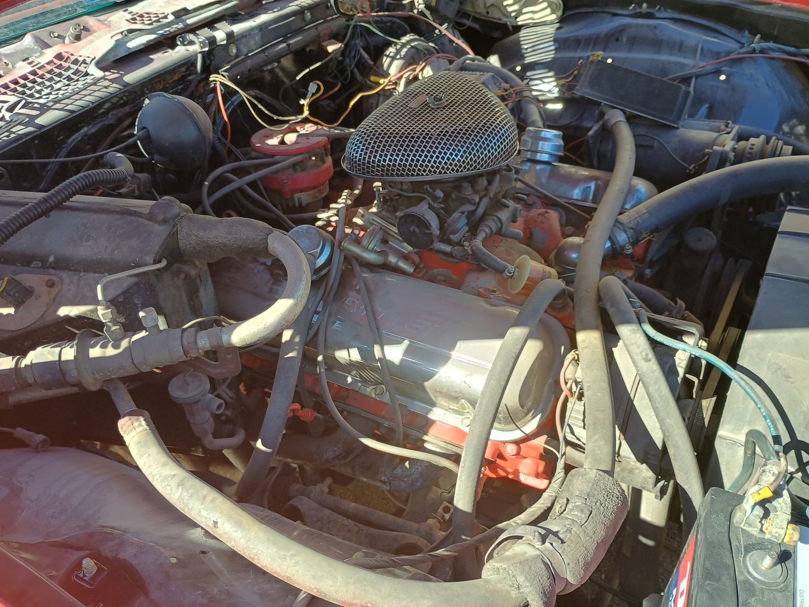 Main image 7