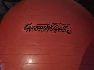 Italian Ledragomma Gymnastik Ball 75cm – Exercise, Therapy & Fitness Ball