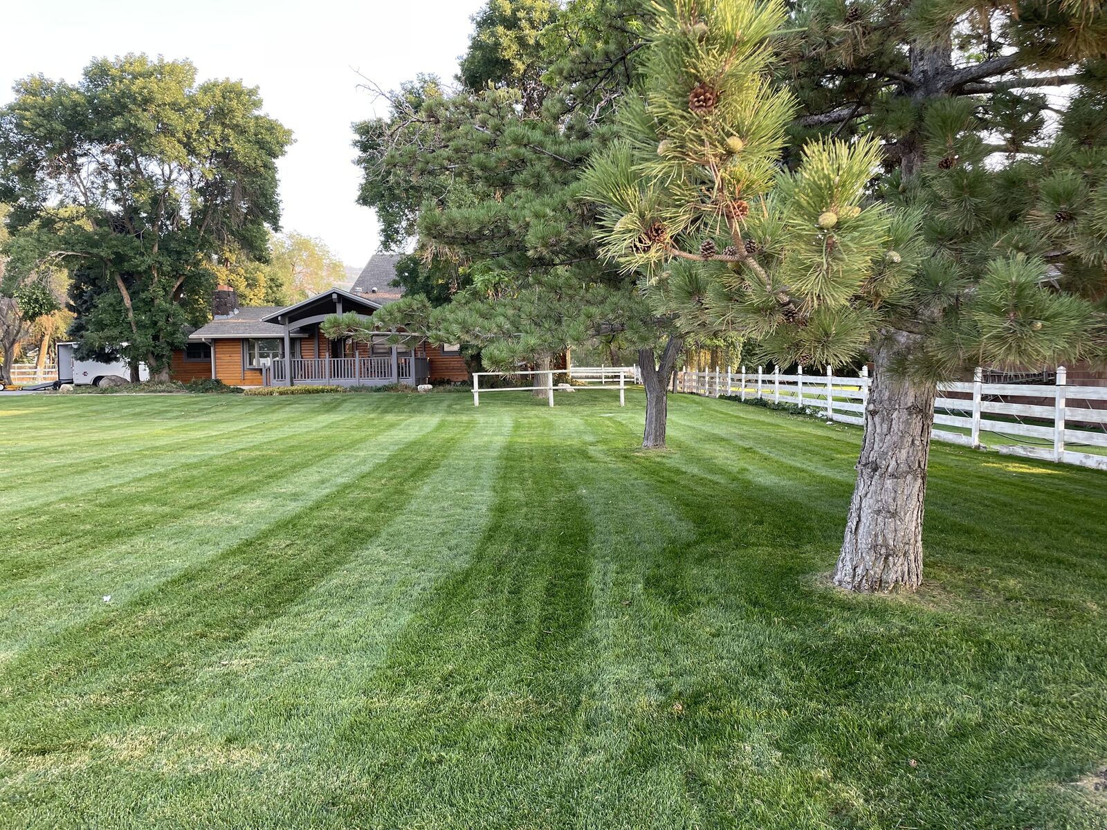 Residential Lawn Care | Lawn Care | Professional Mowing | Edging & Trimming | Grass Cutting