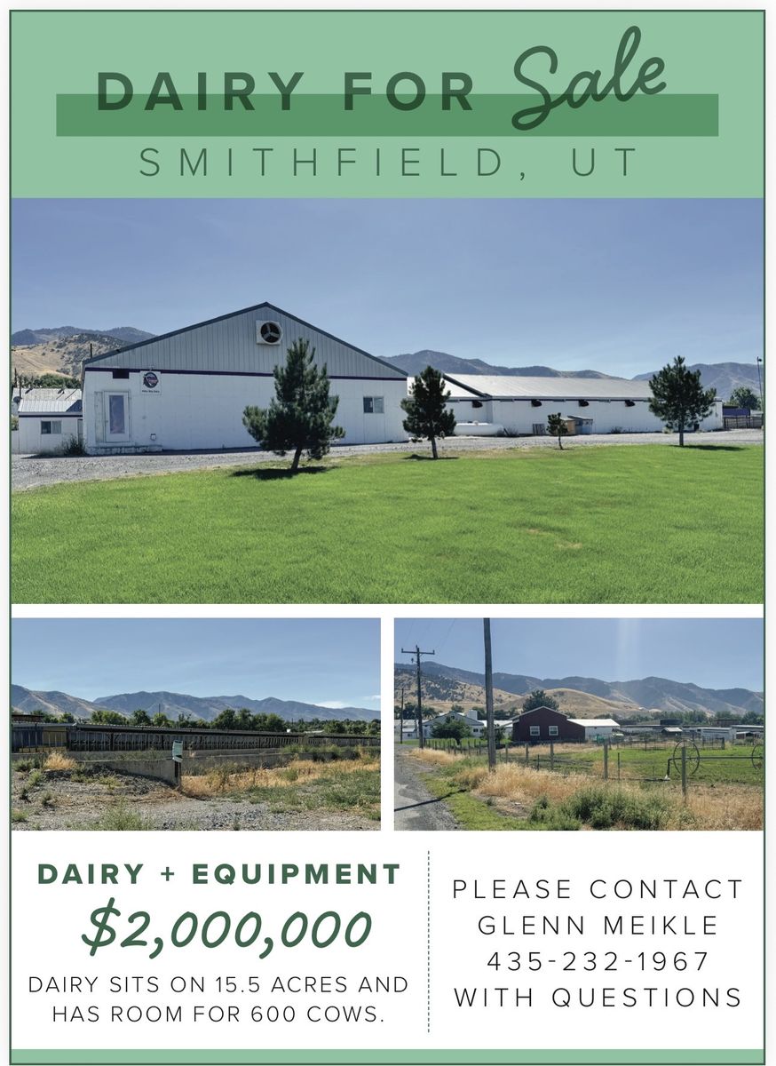 Dairy Farm
