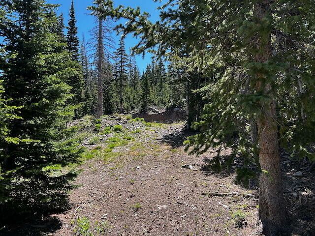 .92 Acres - Brian Head Property