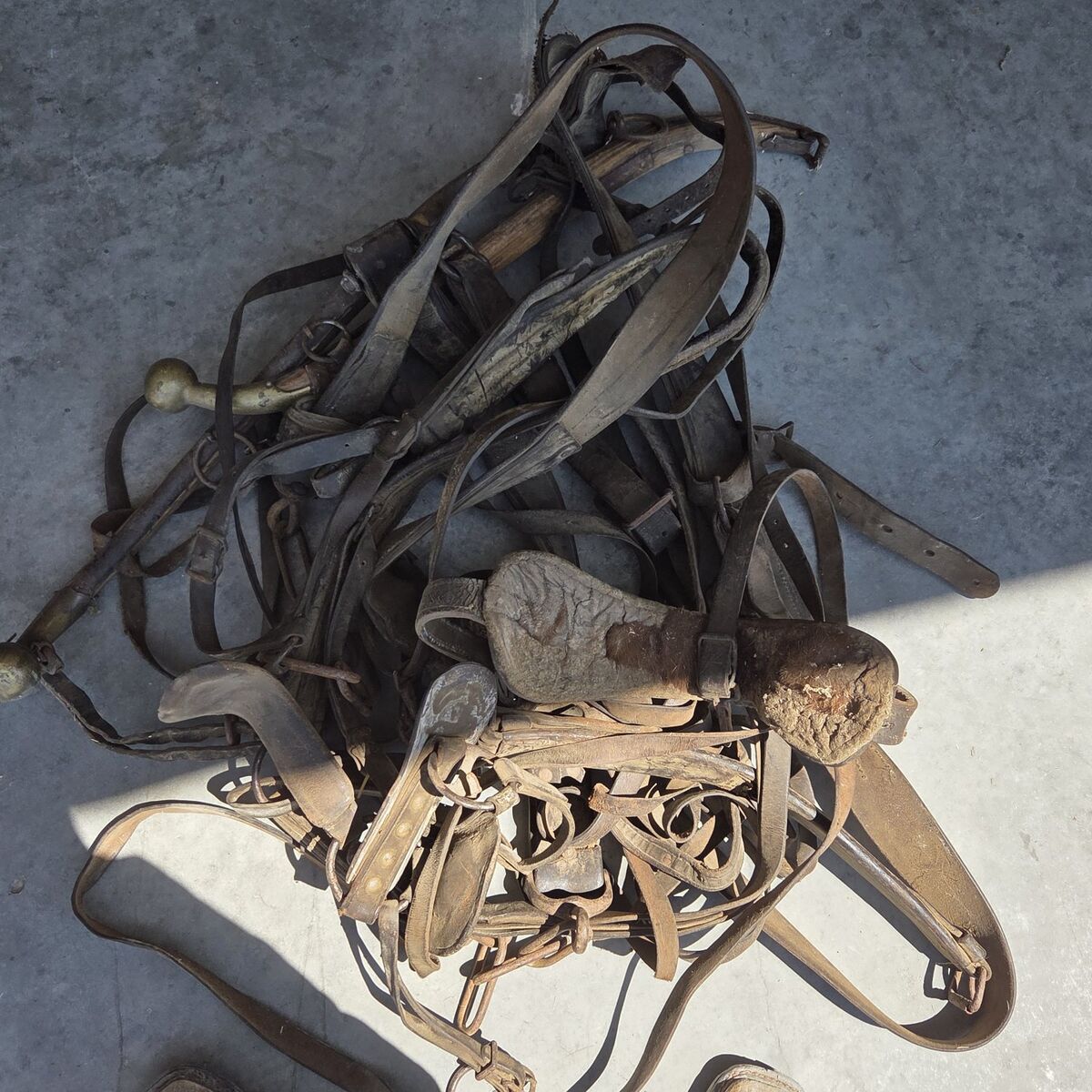 Old harness