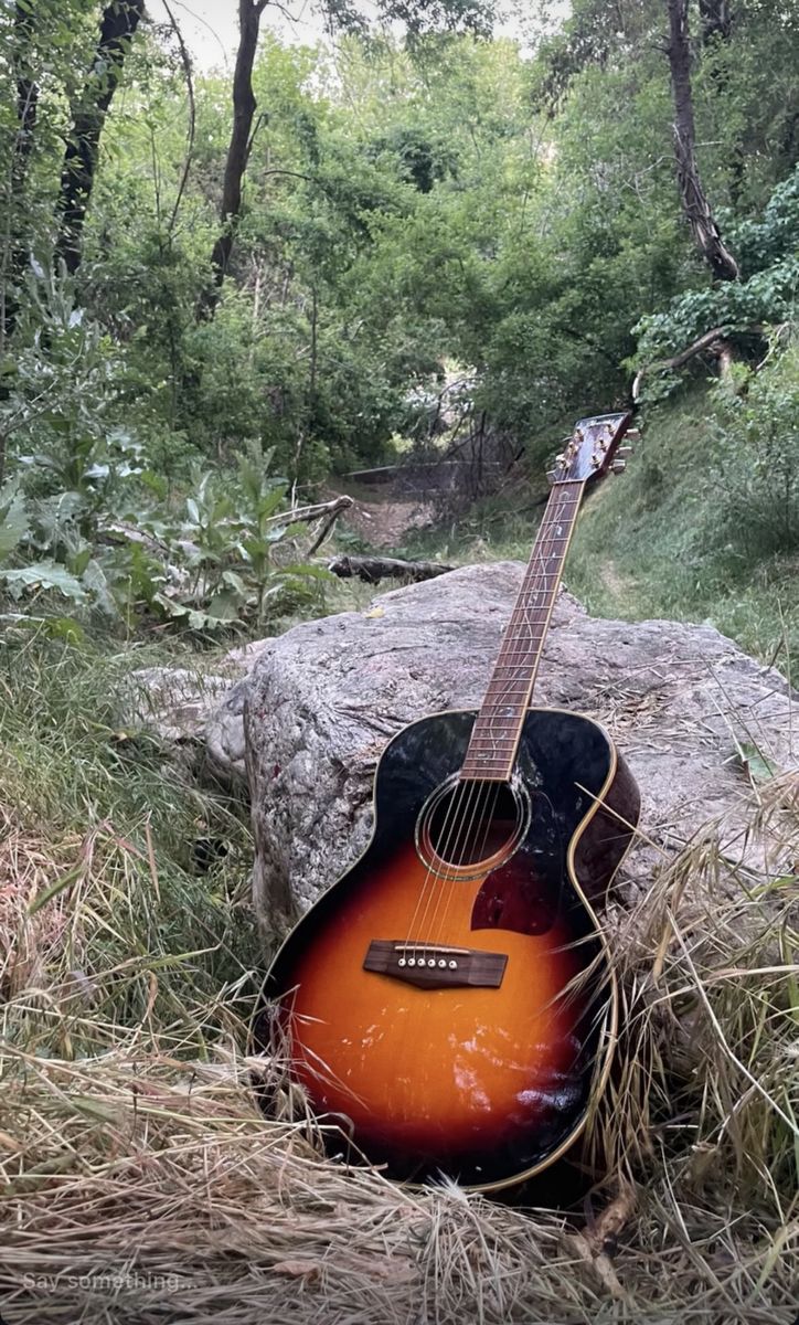 Ibanez Art wood guitar