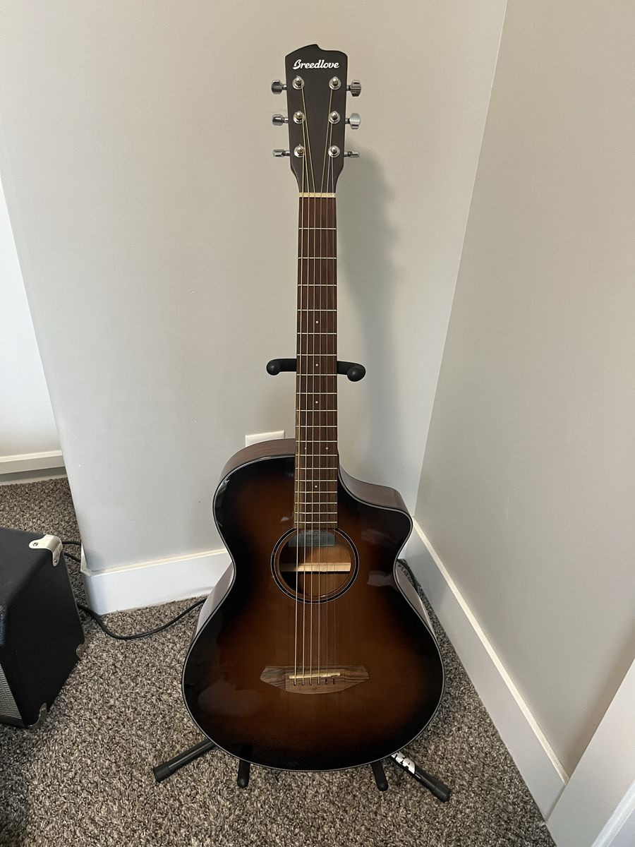 Breedlove Discovery S Concertina ED SE Guitar