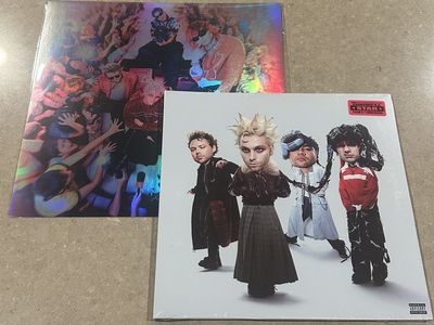 5SOS-5 Seconds Of Summer-SIGNED Vinyl & #'d Poster