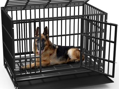 Heavy Duty Indestructible Dog Crate (43 inches)