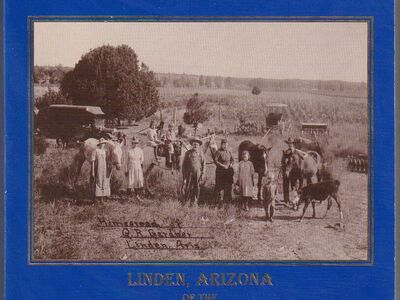 Stories of a Mormon pioneering community: Linden, Arizona, of the Little Colorado Arizona Mission, 1878-1945