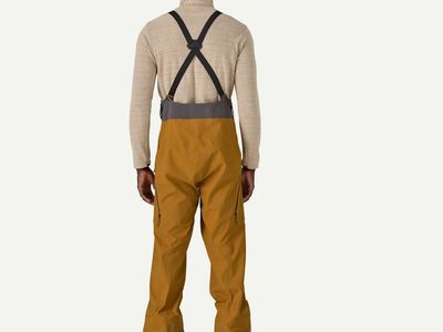 Patagonia SnowDrifter Bib Ski Pants - Raptor Brown Khaki - Men's Small