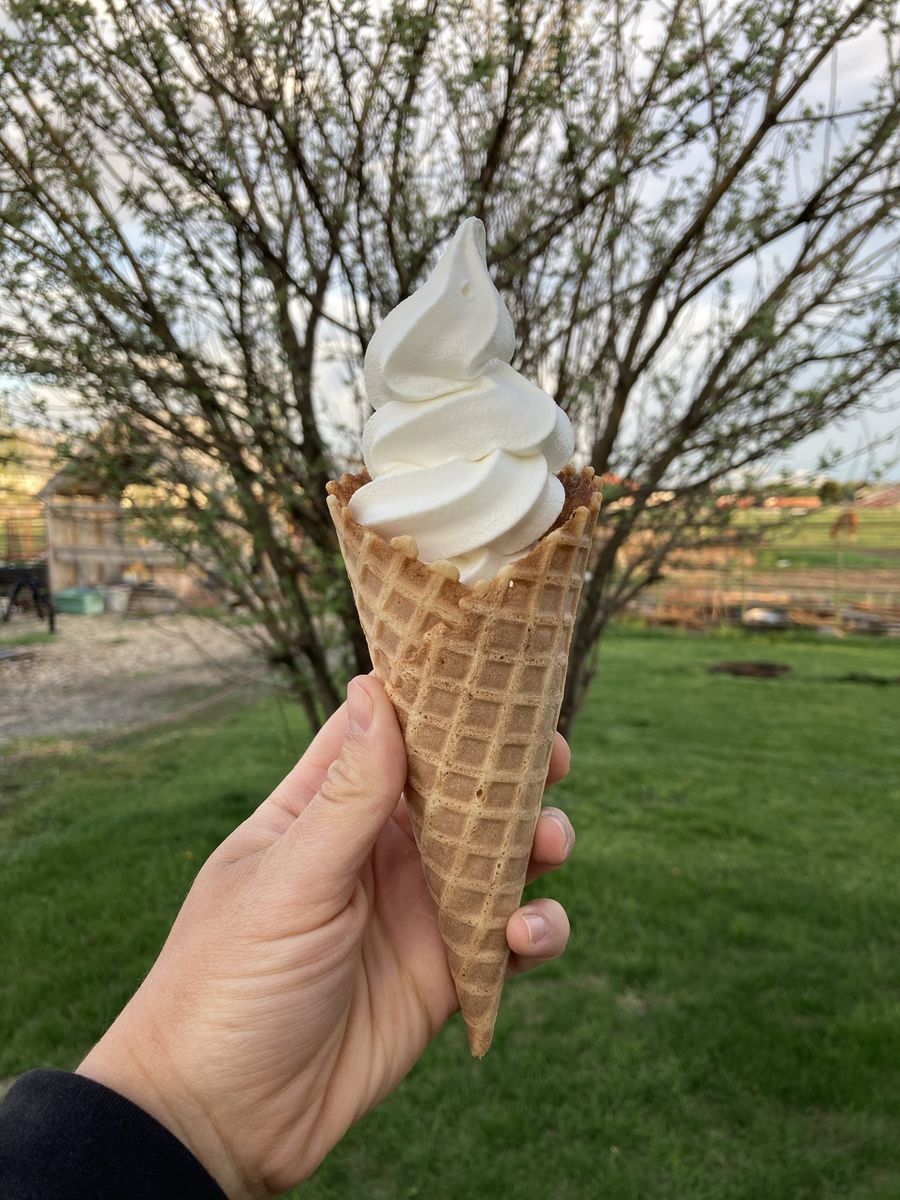 Ice Cream Machine Rental