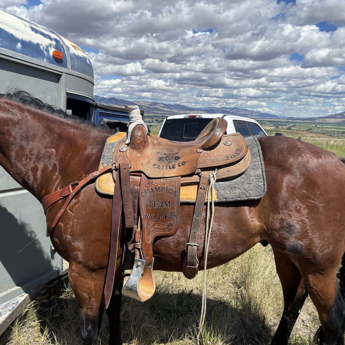 Corriente Rope Saddle -