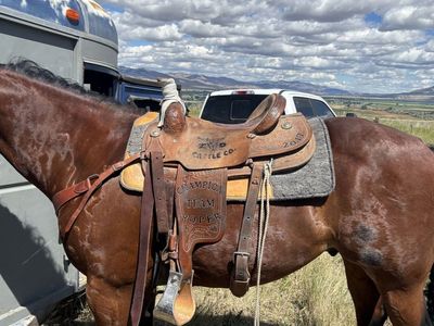 Corriente Rope Saddle -