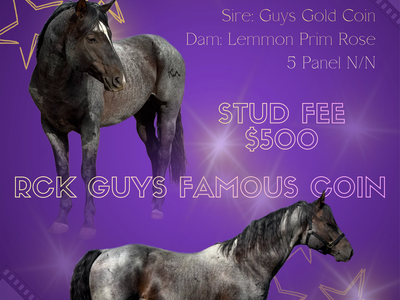 RCK Guys Famous Coin 2013 Bay Roan Stallion