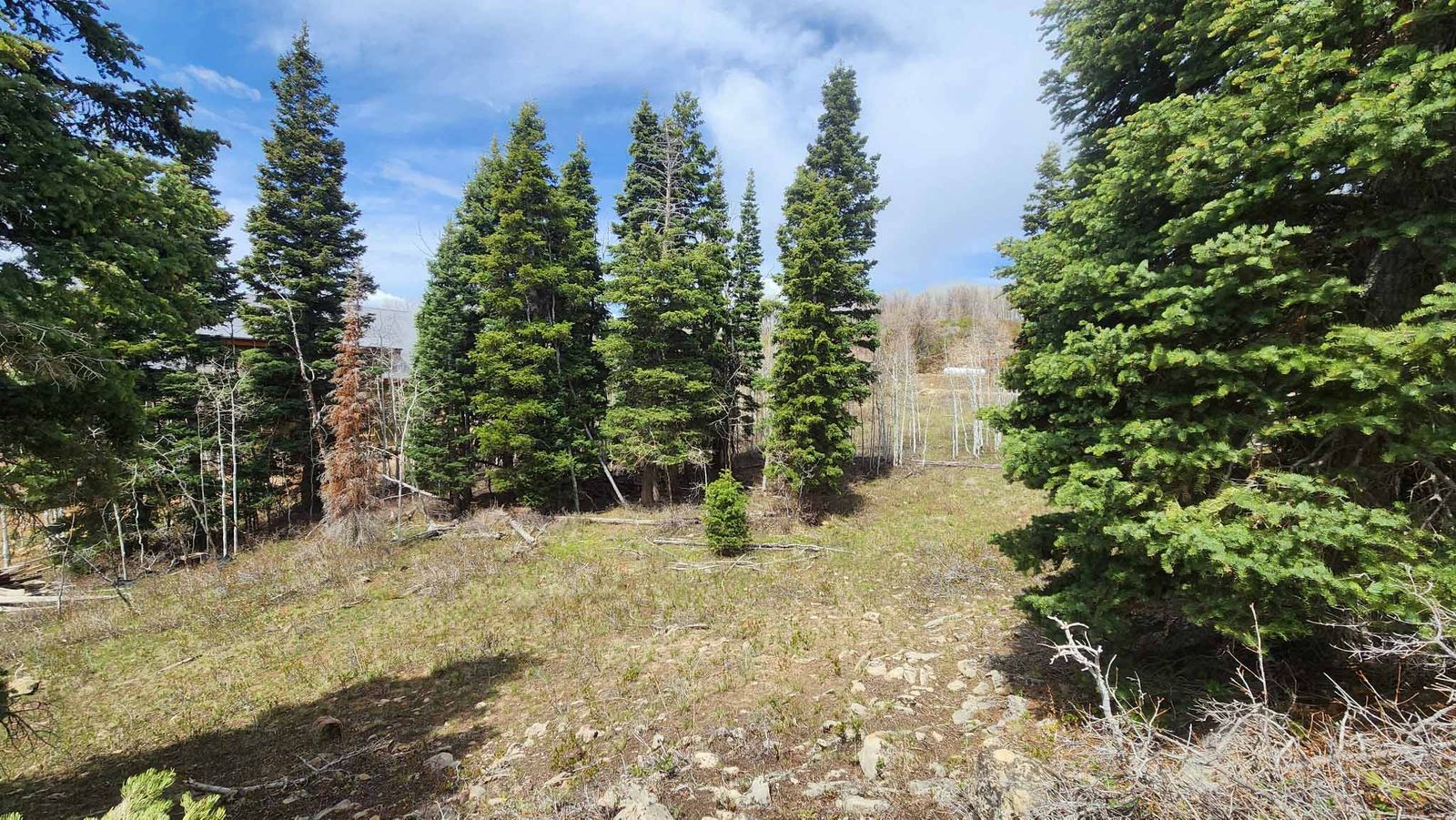 Main image 6