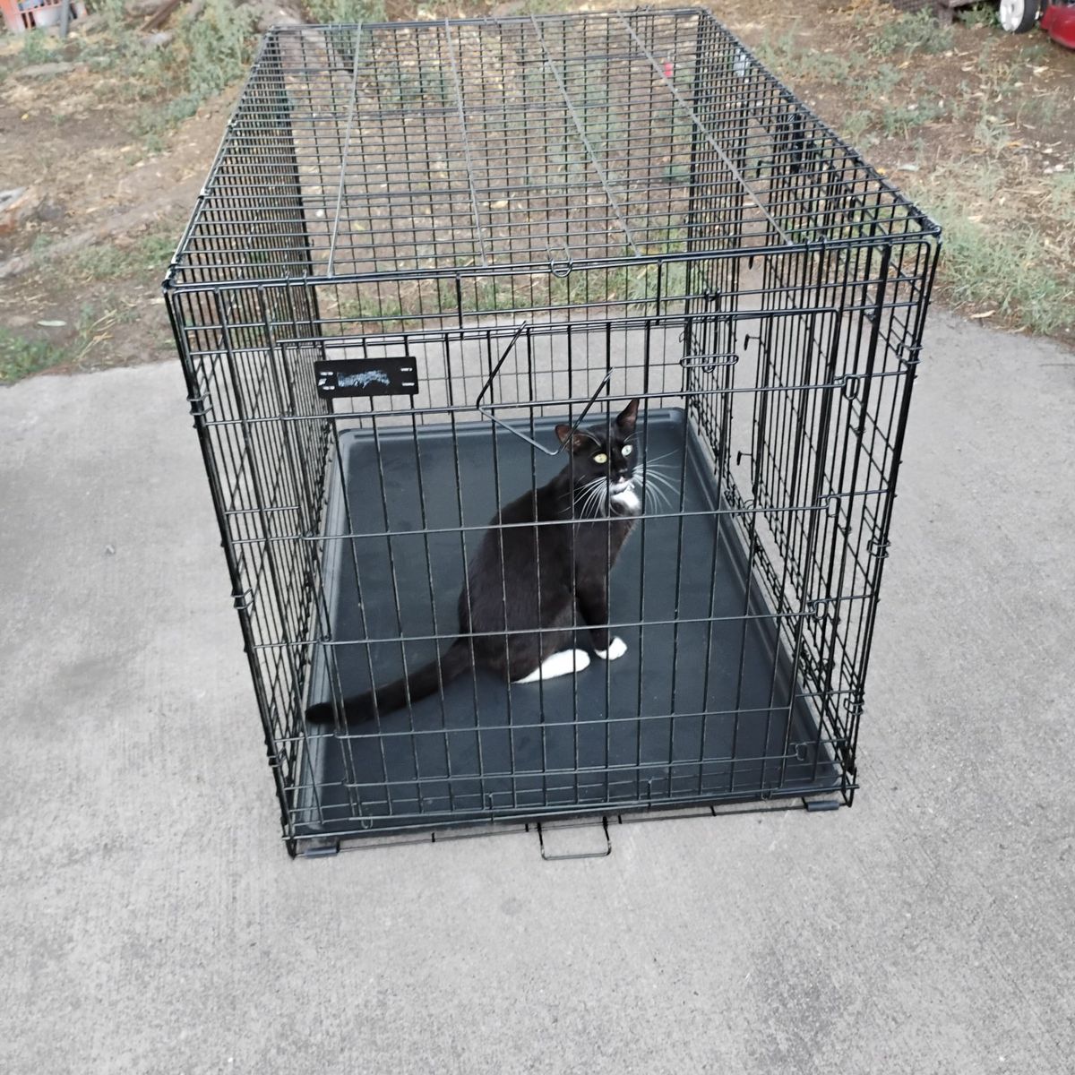 XL Dog/Pet Kennel/Crate With Double Door's And Tray