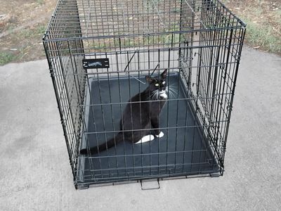 XL Dog/Pet Kennel/Crate With Double Door's And Tray