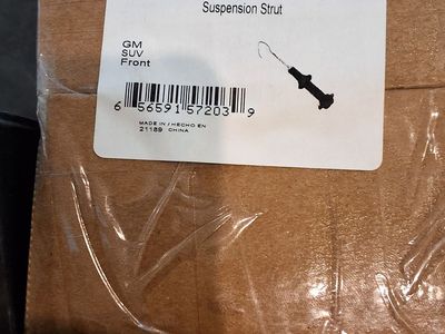 Westar Suspension Strut