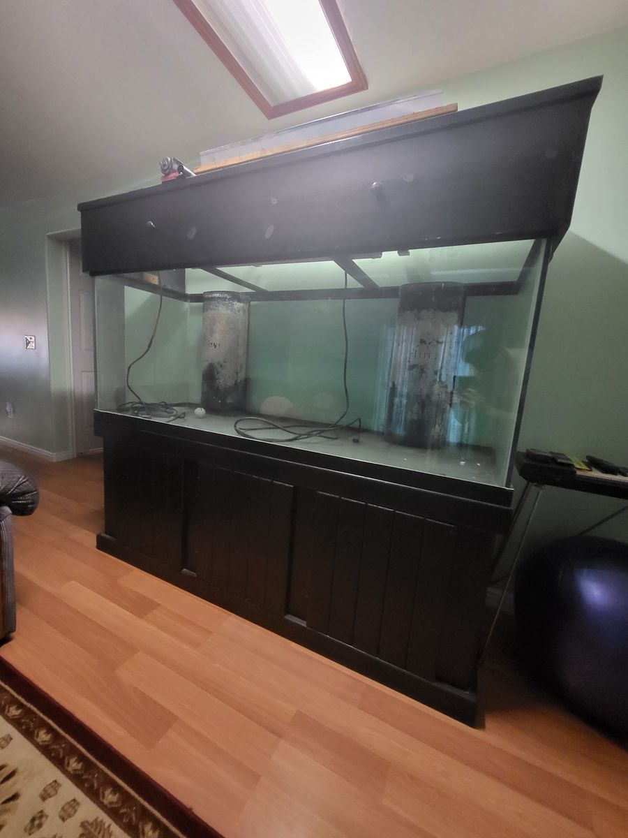 Giant fish tank