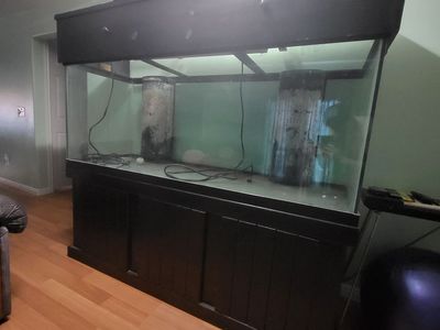 Giant fish tank