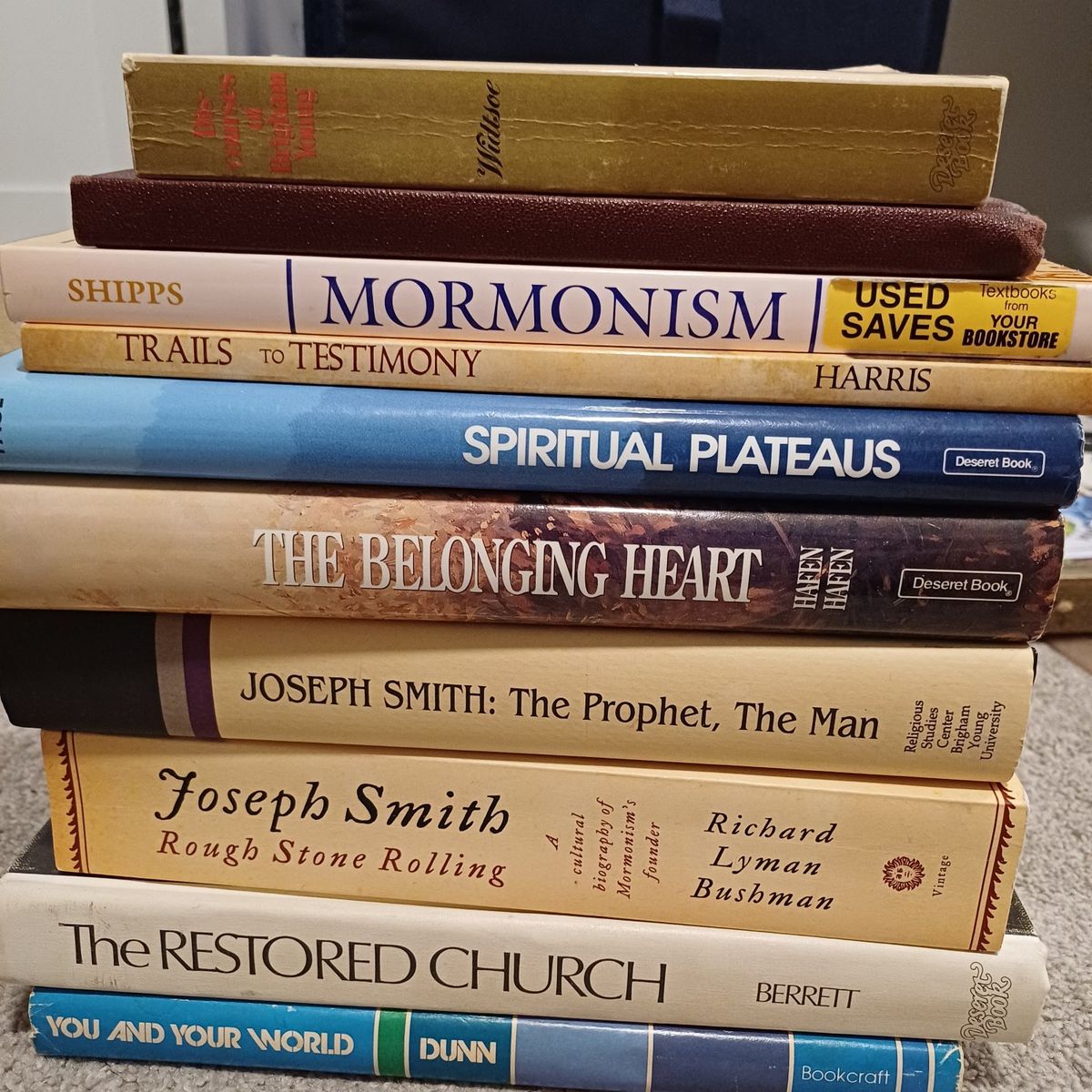 LDS book bundle