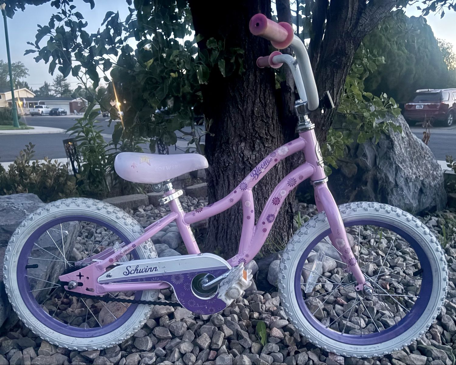 16” Schwinn Bike ready to ride