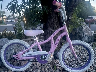 16” Schwinn Bike ready to ride