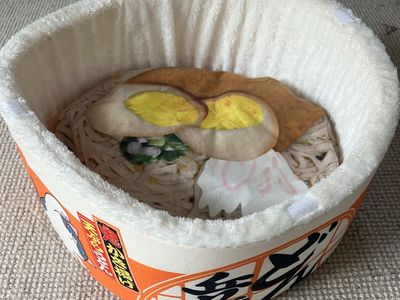 Japanese Cup Ramen Noodle Dog or Cat Bed