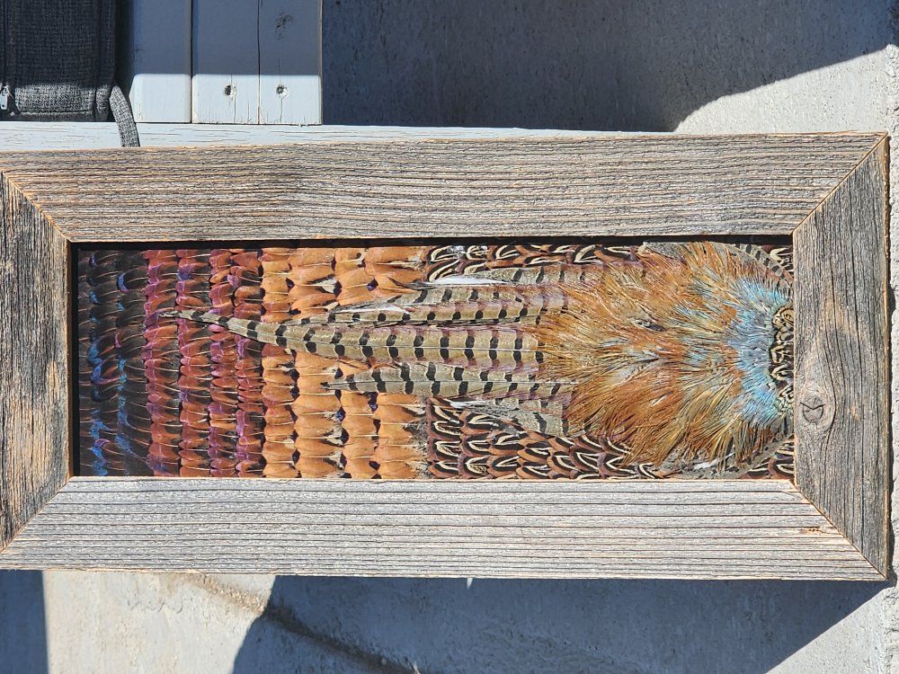 Pheasant Feather Art