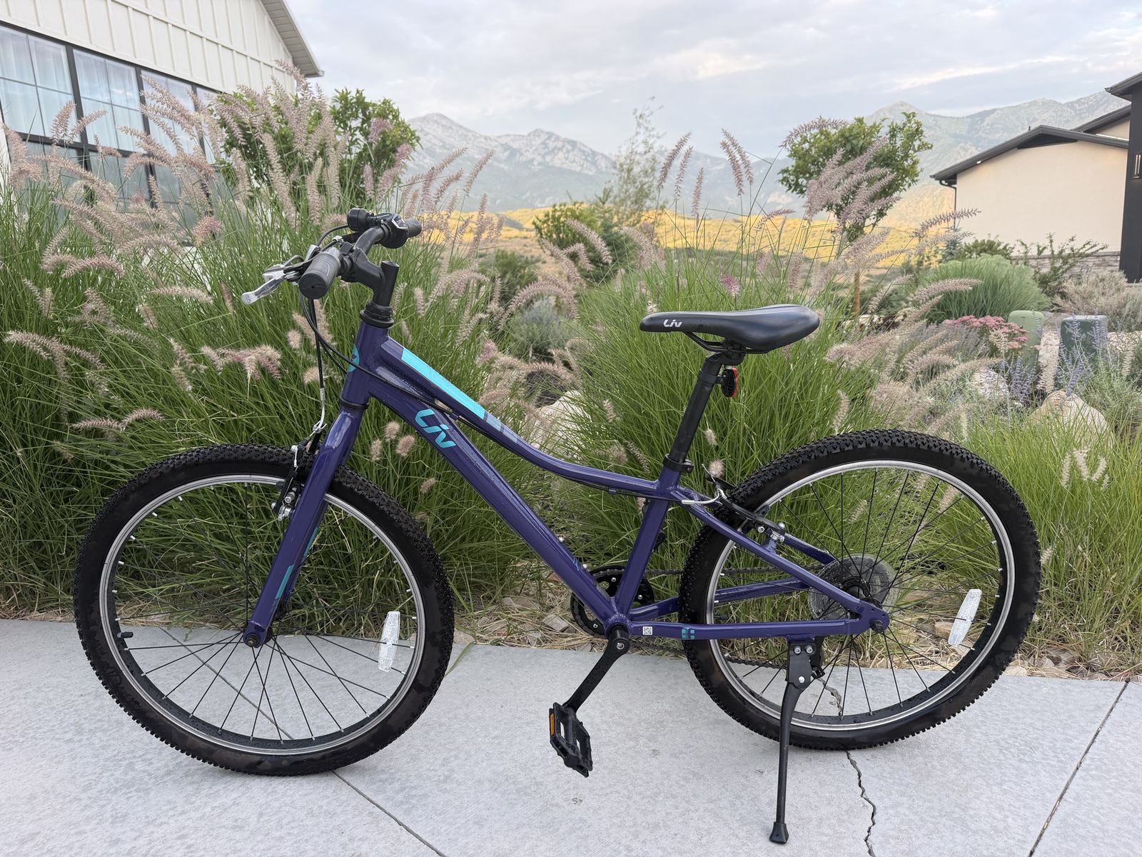 Giant/Liv Enchant Youth Mountain Bike, 24-inch Wheels, Astral Aura (Purple), Excellent Condition