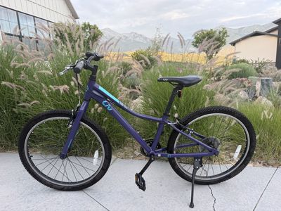 Giant/Liv Enchant Youth Mountain Bike, 24-inch Wheels, Astral Aura (Purple), Excellent Condition