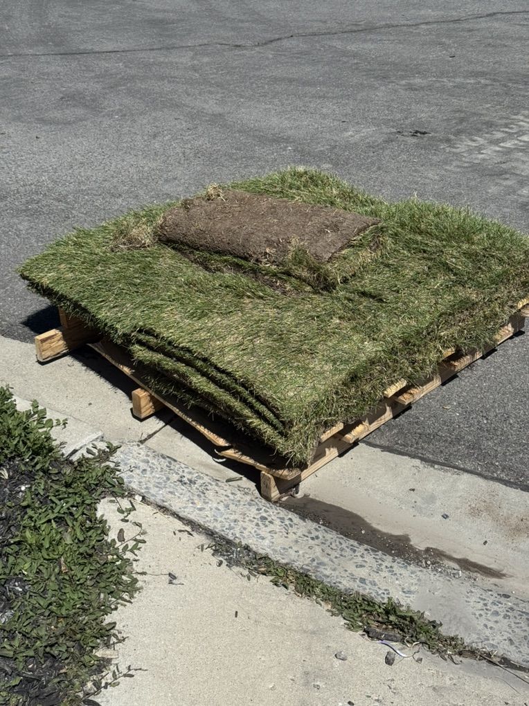 Sod & Top Soil
