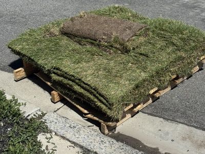 Sod & Top Soil