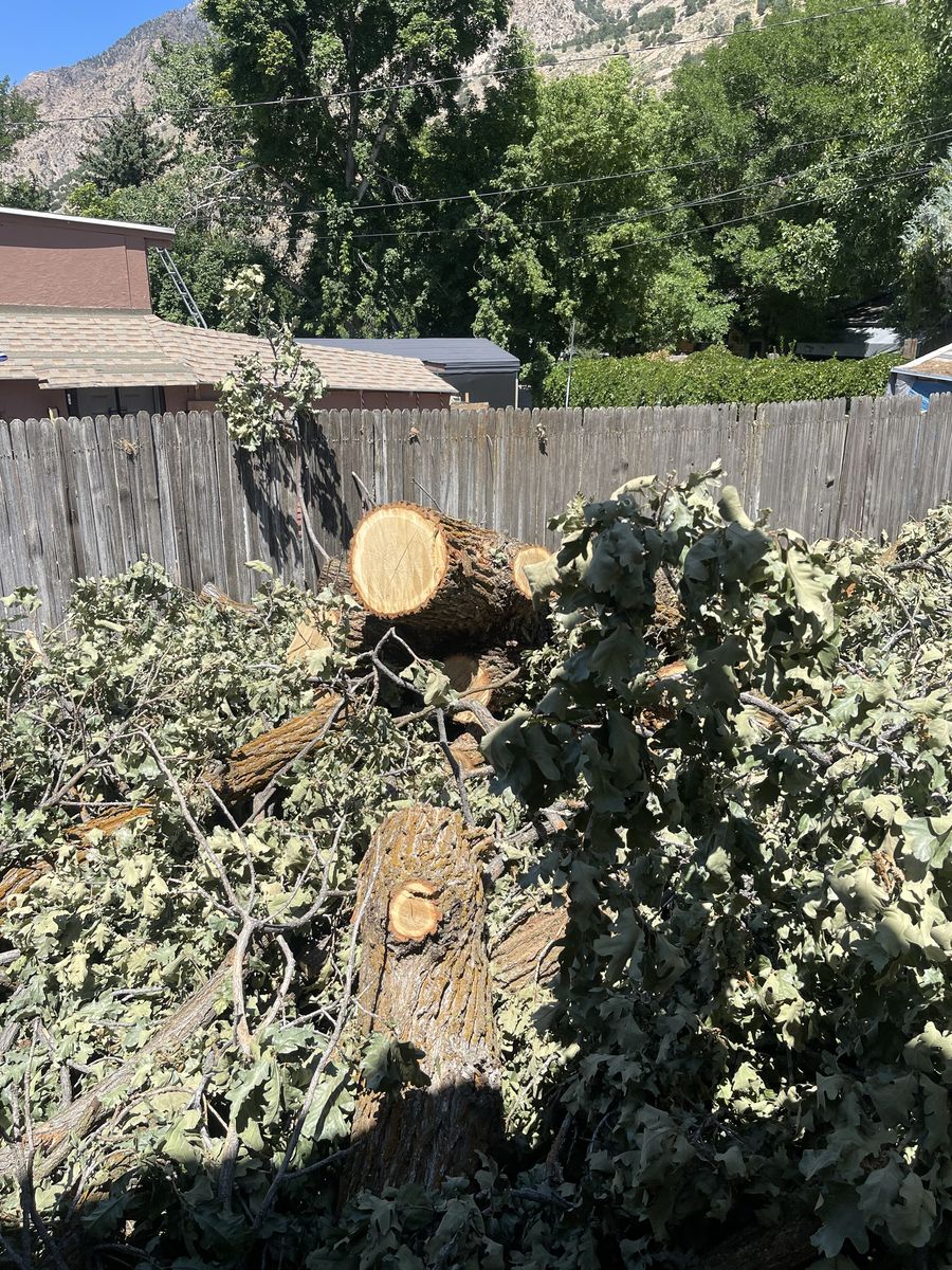 Fresh Cut Wood Chunks & Branches - Hardwood Firewood/Landscaping Material - Large Quantity