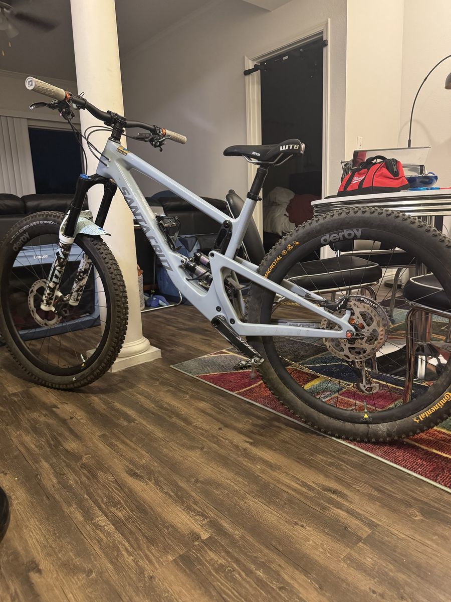 Santa Cruz Mega Bronson large