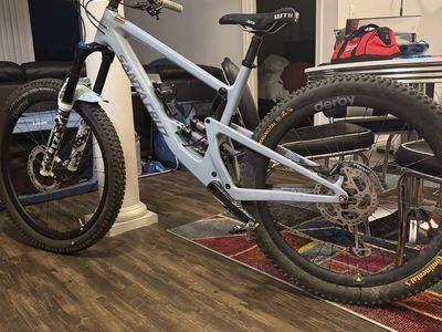 Santa Cruz Mega Bronson large