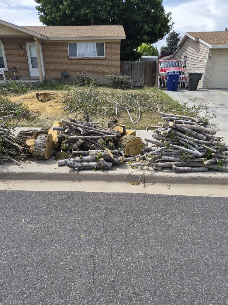FREE FIREWOOD