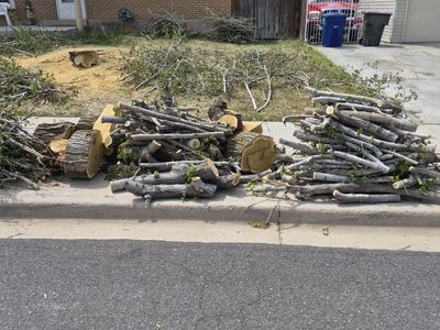 FREE FIREWOOD