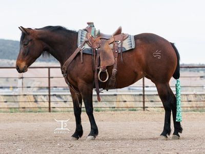 Bad Photos = Slower Horse Sales (I Fix That)